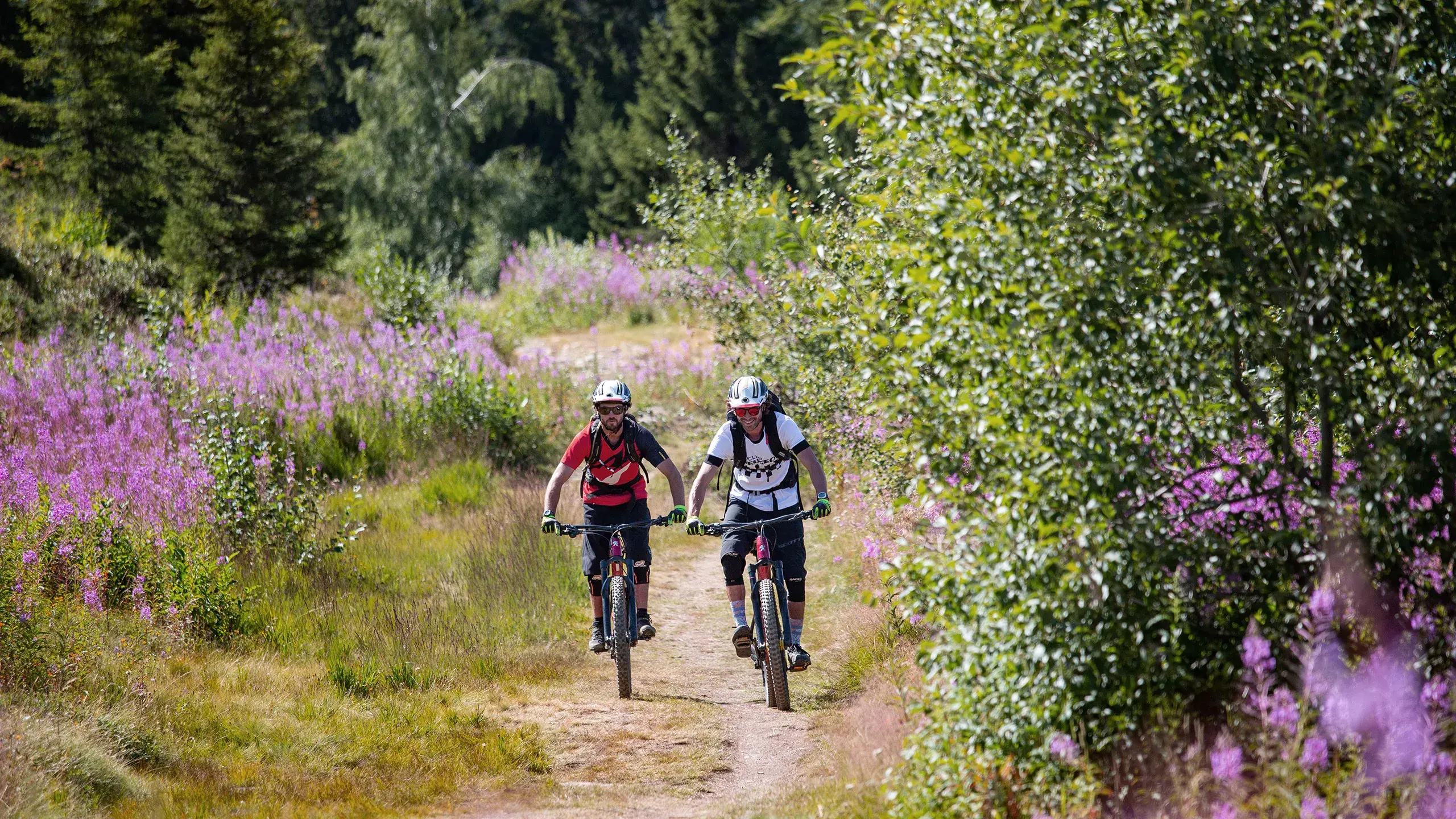 Les Saisies - Été - VTT
