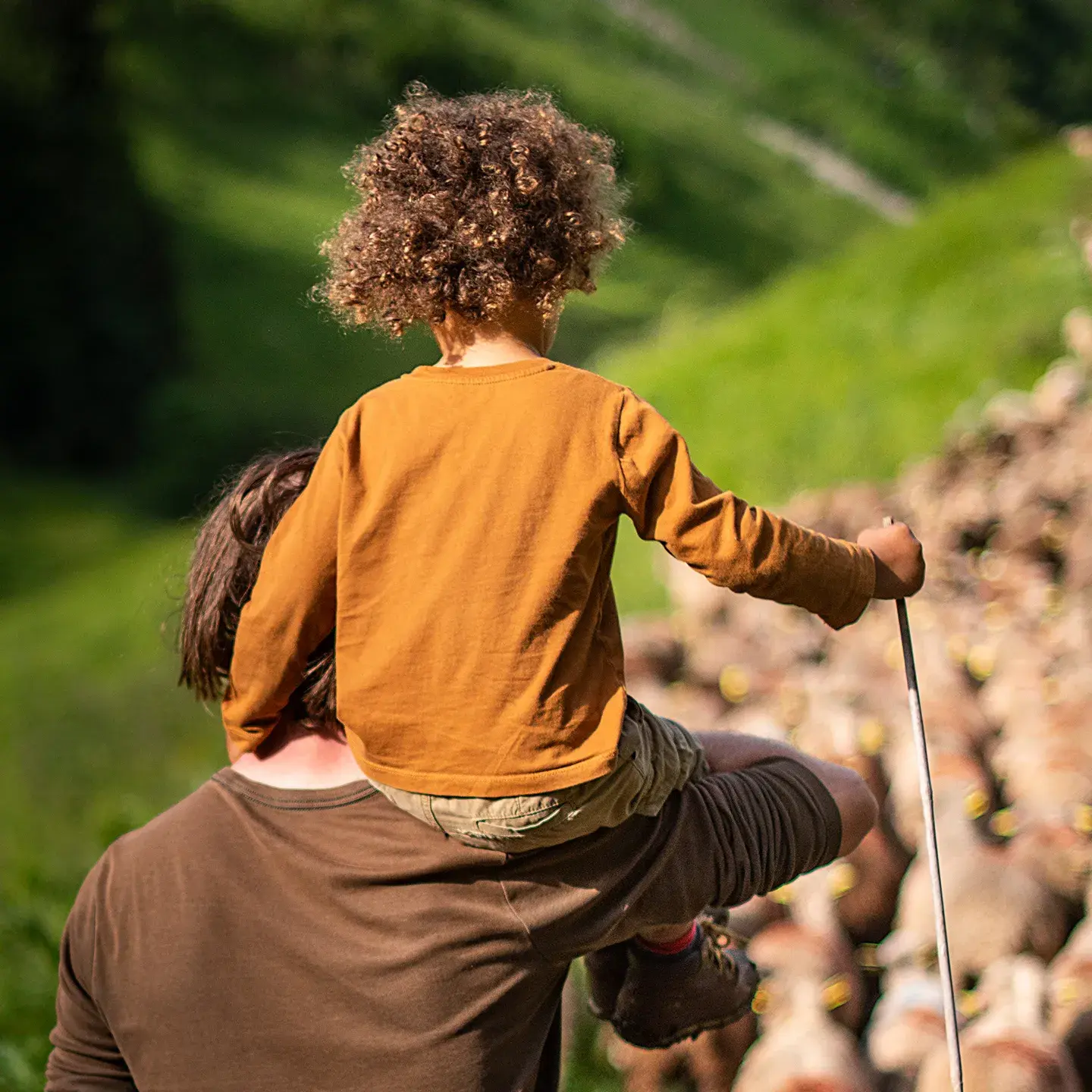 Manigod - Territoire authentique - Alpage - Père et fils