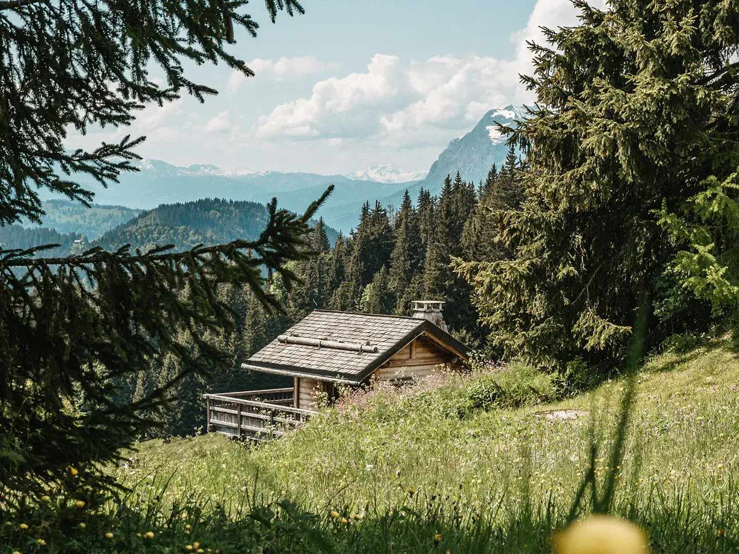 Vue sur un chalet depuis un champ fleuri en été sur le domaine des Portes du Soleil
