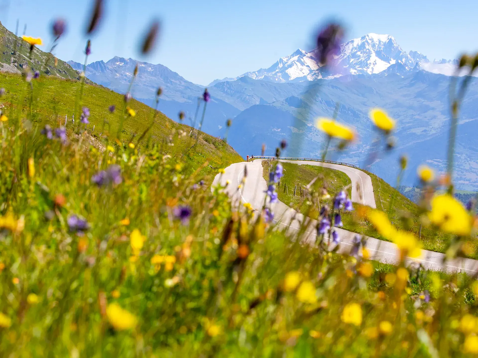 Valmorel - Été - Route Cyclisme