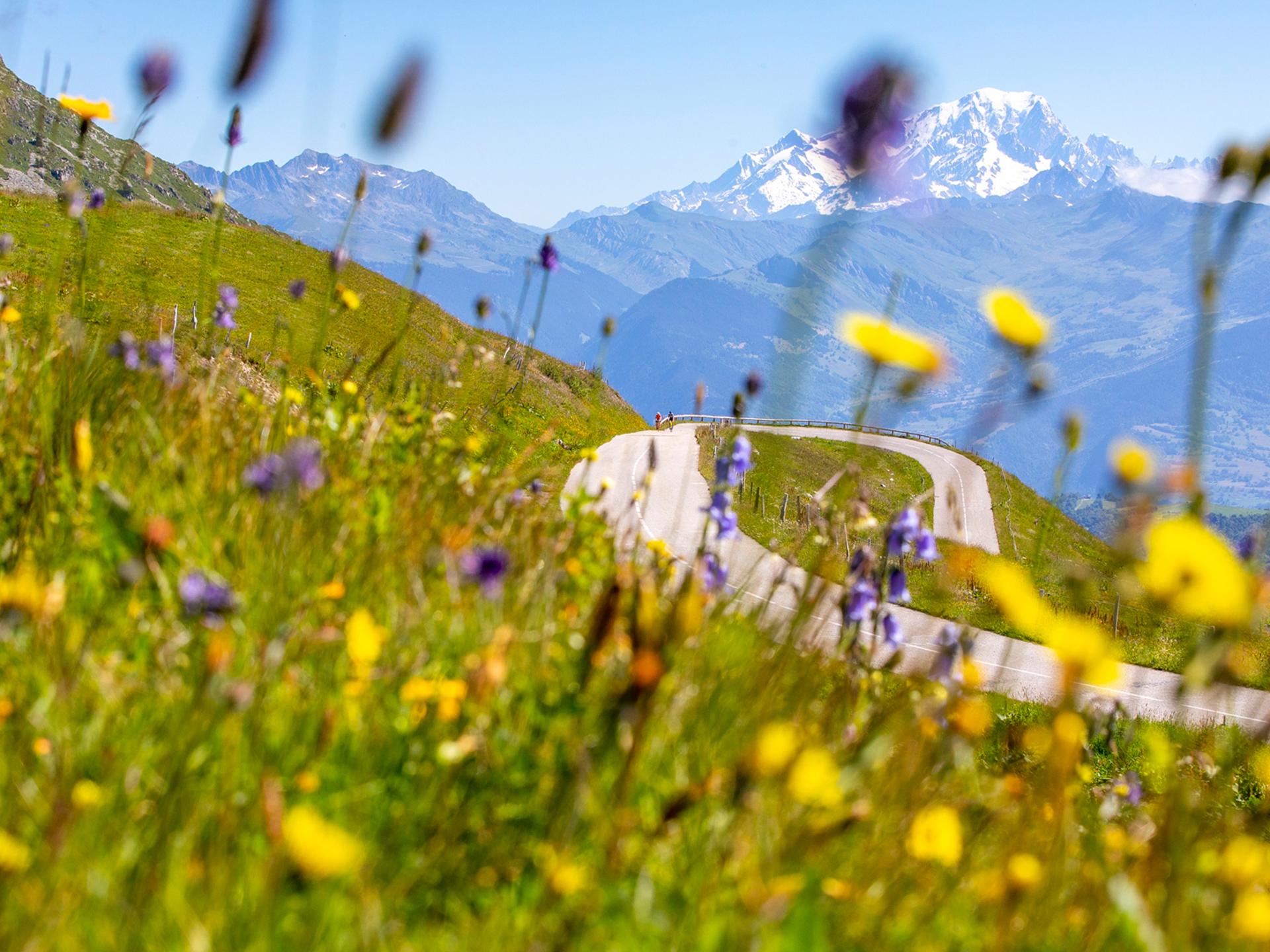 Valmorel - Été - Route Cyclisme