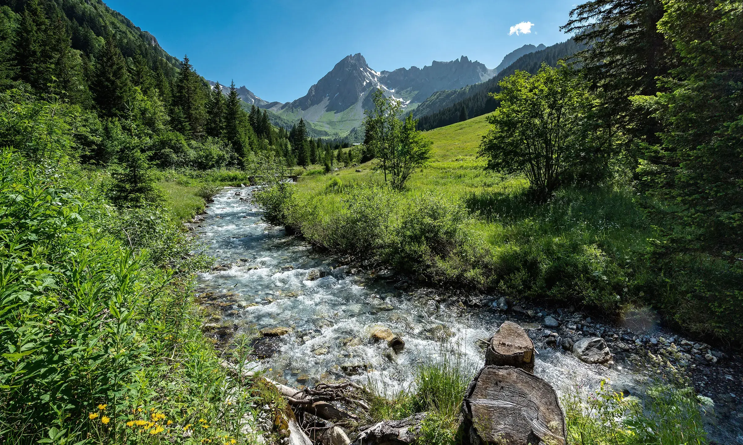 Paysage ensoleillée de la montagne et d'une rivière en été aux Contamines-Hauteluce