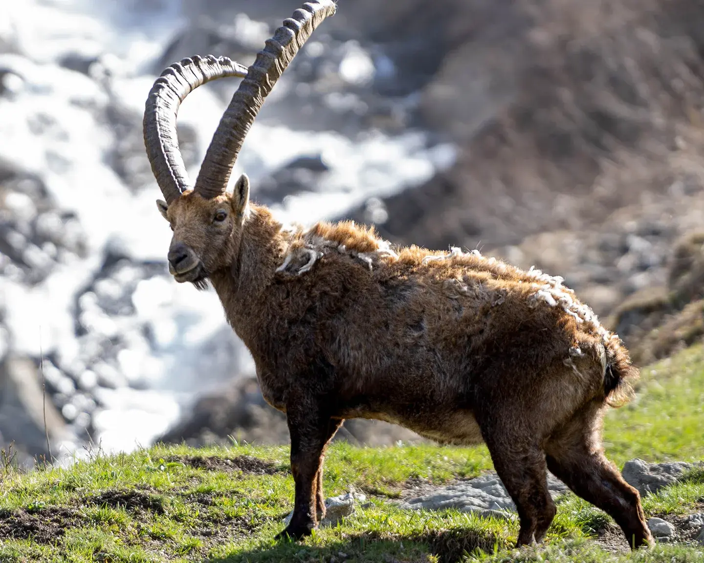 Destination Champagny-en-Vanoise - Parc de la Vanoise