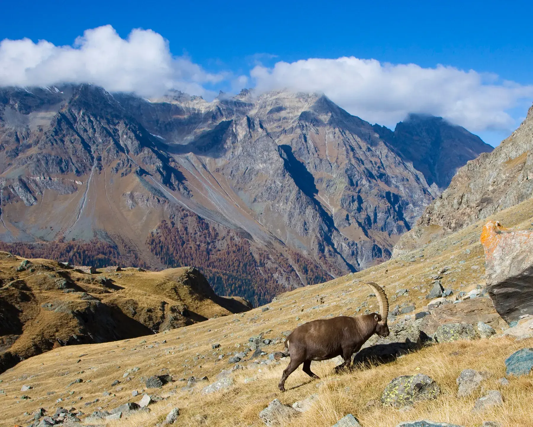 Sainte-Foy-Tarentaise - Parc de la Vanoise
